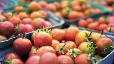 Rains hit yield in Andhra Pradesh; prices of tomato, green chilli soar