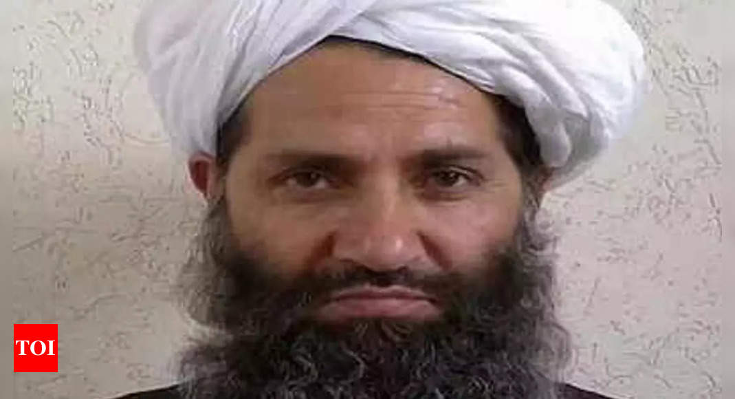 Want good political, economic relations with world: Taliban – Times of India