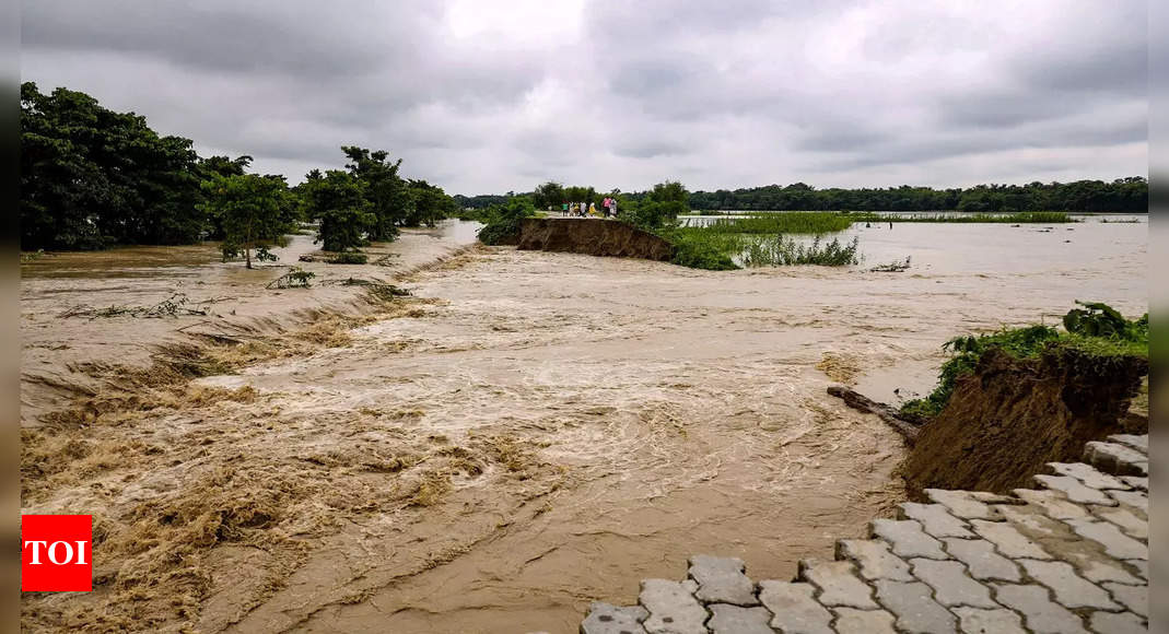 Assam Flood News: Floods situation in Assam gradually improving; 2.72 ...