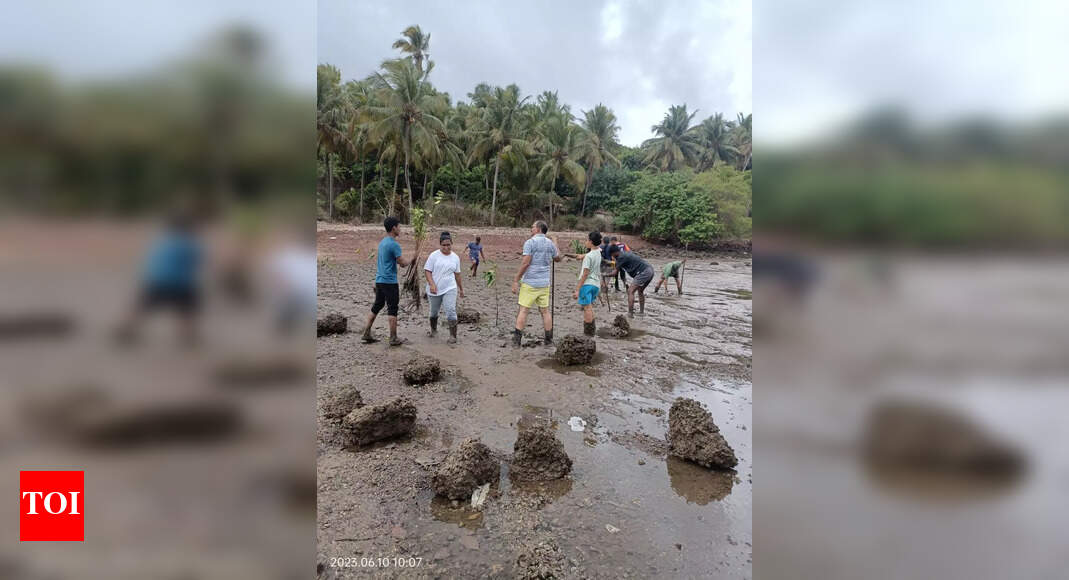 Mangrove plantation drive held at Candolim Events Movie News Times