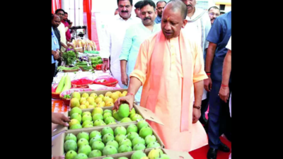 Yogi flags off first lot of Langda mango, chilli from IPH to Gulf