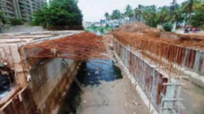 Bengaluru's Bellandur-Kodi bridge to be ready in 3 months, but citizens fret as rain looms