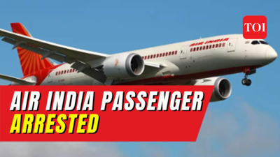 Passenger defecates, urinates and spits on Delhi-bound Air India flight