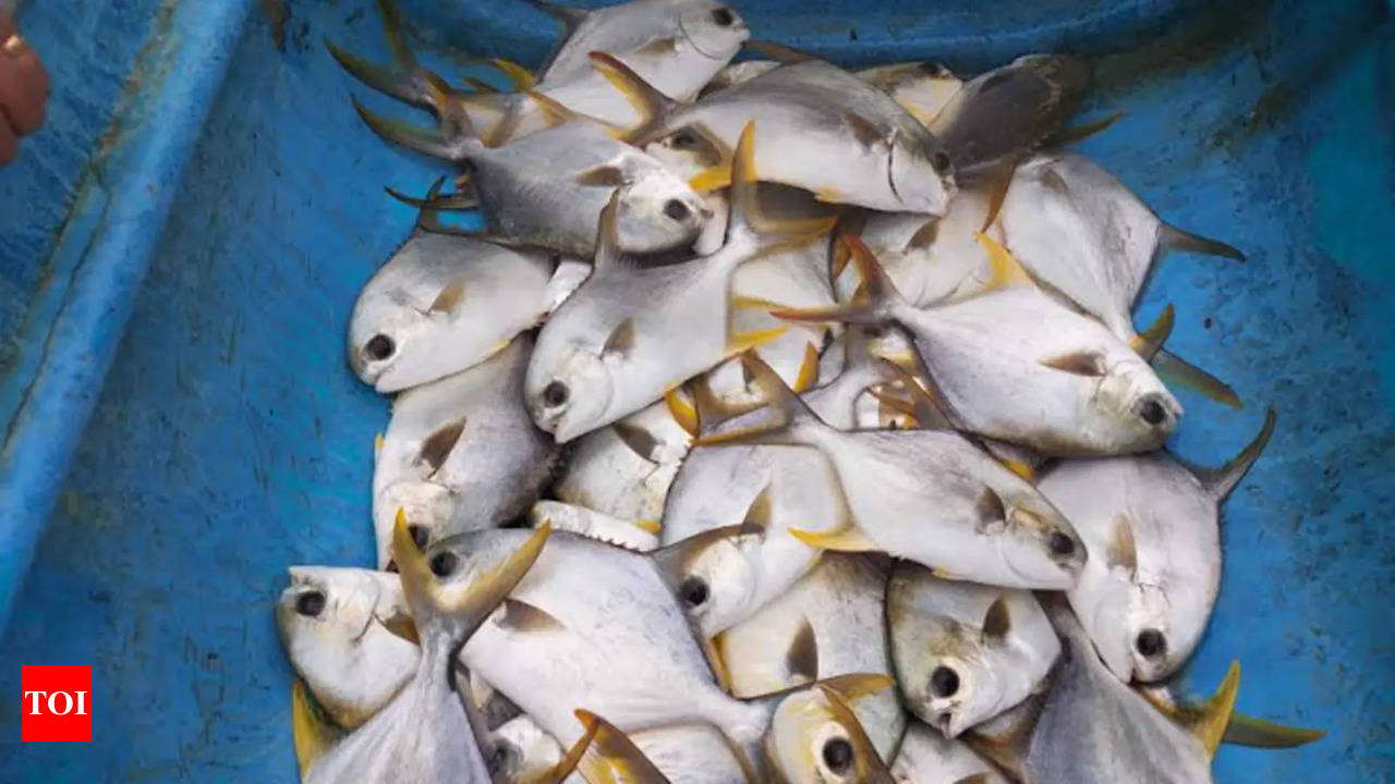 Top Fishing Net Wholesalers in Udupi - फिशिंग नेट