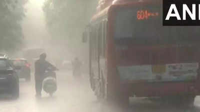 Heavy rain lashes parts of Delhi, monsoon yet to reach northwest India