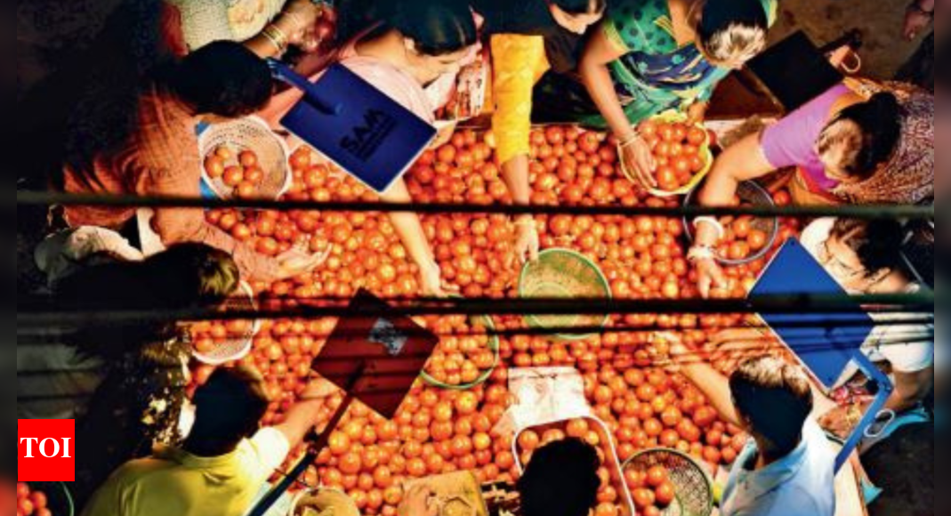 Tomato Price in Hyderabad Tomatoes cost a bomb, touch Rs 100mark in Hyderabad Hyderabad News