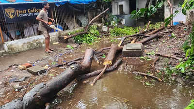 Heavy rain lashes several parts of Mumbai, 1 dead