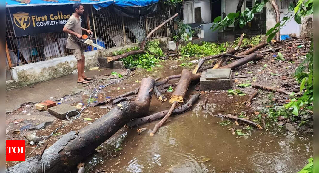 Mumbai Rains Today: Heavy rain lashes several parts of Mumbai, 1 dead | Mumbai News - Vimarsana News