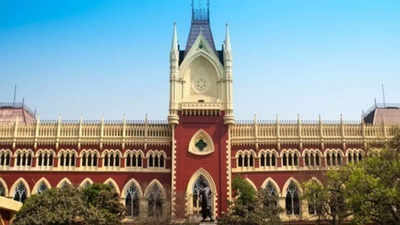 Calcutta high court 'dissatisfied' with SEC affidavit on poll preparation