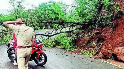3 landslides at Ambenali ghat hit Mahabaleshwar-Raigad traffic