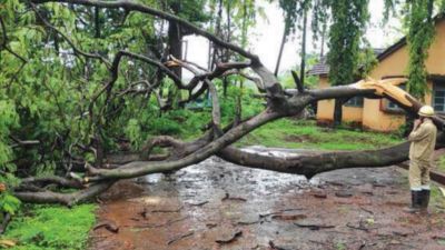 In Bicholim, locals grapple with monsoon’s fury
