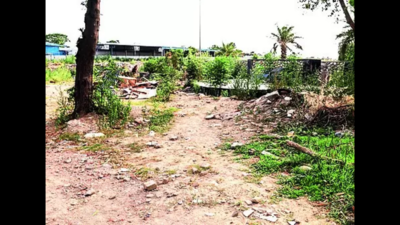 Eyesores: Leisure valleys need labour to look good