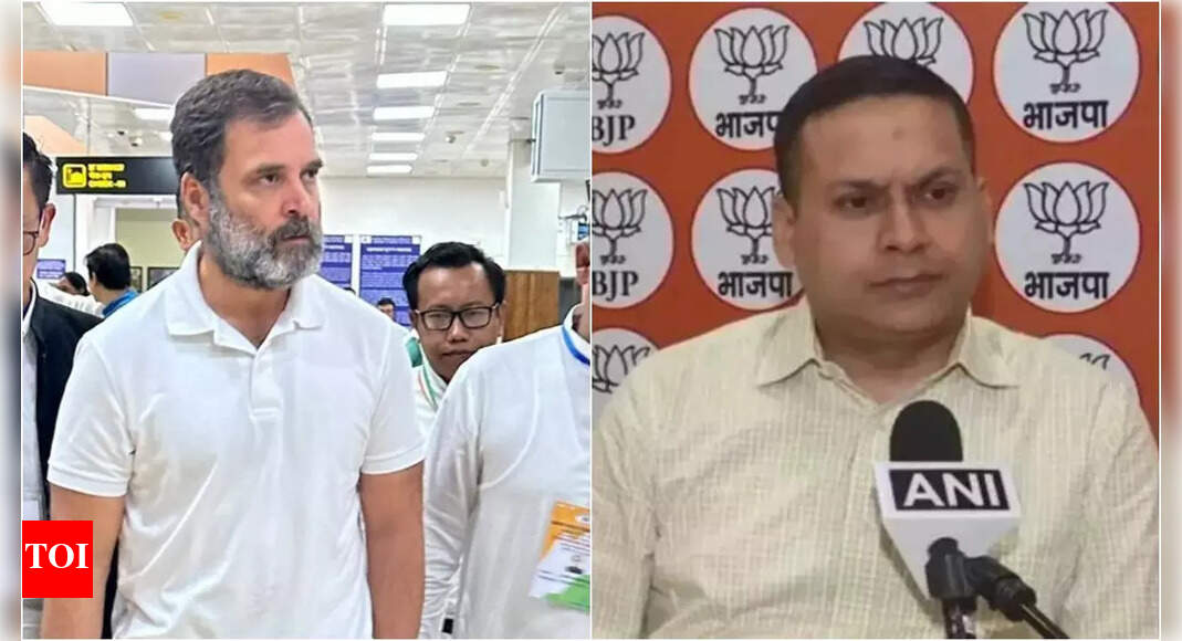 Manipur: Manipur visit: Rahul not messiah of peace but political opportunist, says Amit Malviya | India News - Vimarsana News