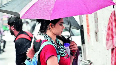 Expect fairly widespread rainfall, thunderstorm in Bihar: Met office