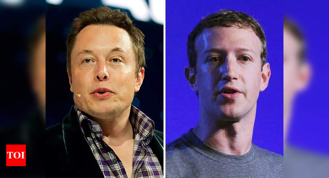 Musk: Cage or Colosseum: Italy minister reportedly wants Elon Musk, Mark Zuckerberg to fight like ‘gladiators’ – Times of India