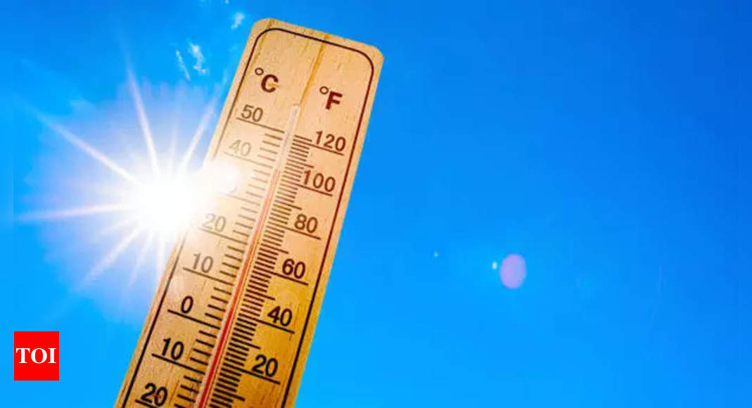 Mexico: Extreme heat kills more than 100 in Mexico: government – Times of India