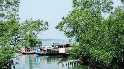 Indo-Bangla trans-boundary 'peace park' tag for Sundarbans in offing