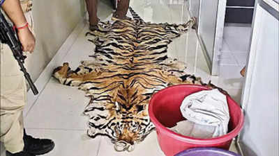 Centre alerts reserves after tiger's skin seized in Assam