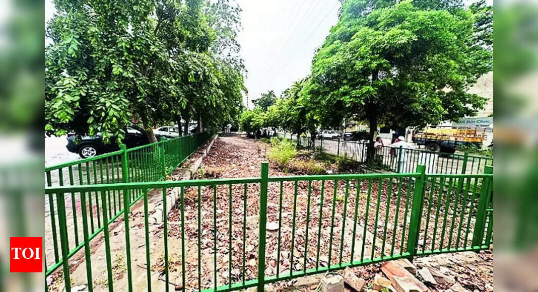 City Preps For Rain, Mc To Start Flood Control Room Today | Ludhiana News - Vimarsana News