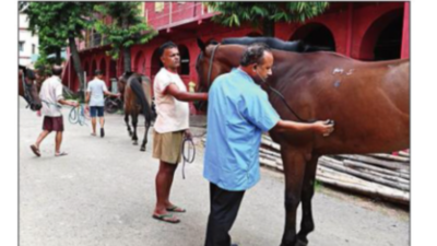 On Kolkata's old streets, the neighs have it