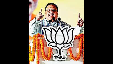 BJP drops 17 members; Alwar MP Balaknath in state executive list