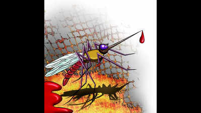 War against mosquitoes through awareness campaign, sanitation