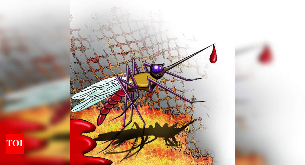 War Against Mosquitoes Through Awareness Campaign, Sanitation | Kanpur