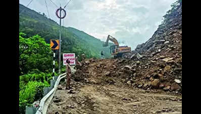 Another landslide blocks Badrinath NH, third in 2 days