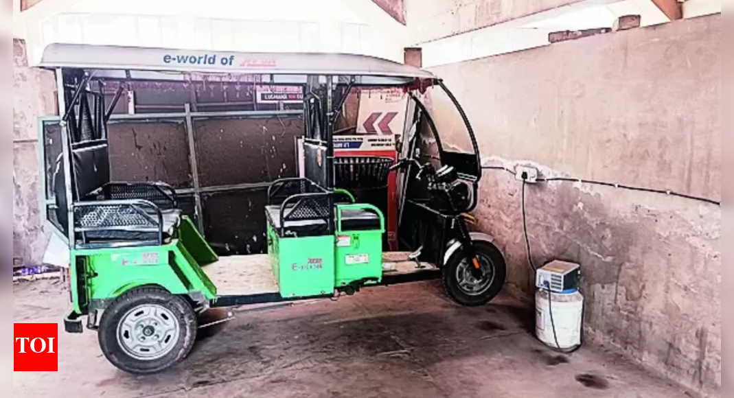 Pau’s Free E-rickshaw Service Leaves Drivers Struggling To Meet ...