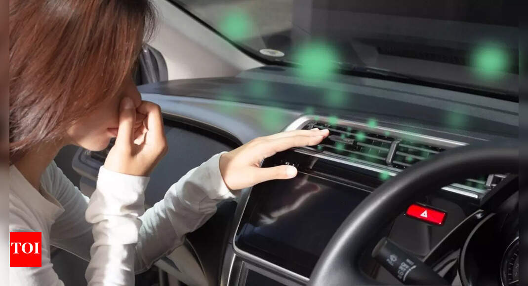 How to get rid of badsmelling car interiors Easy steps explained Times of India