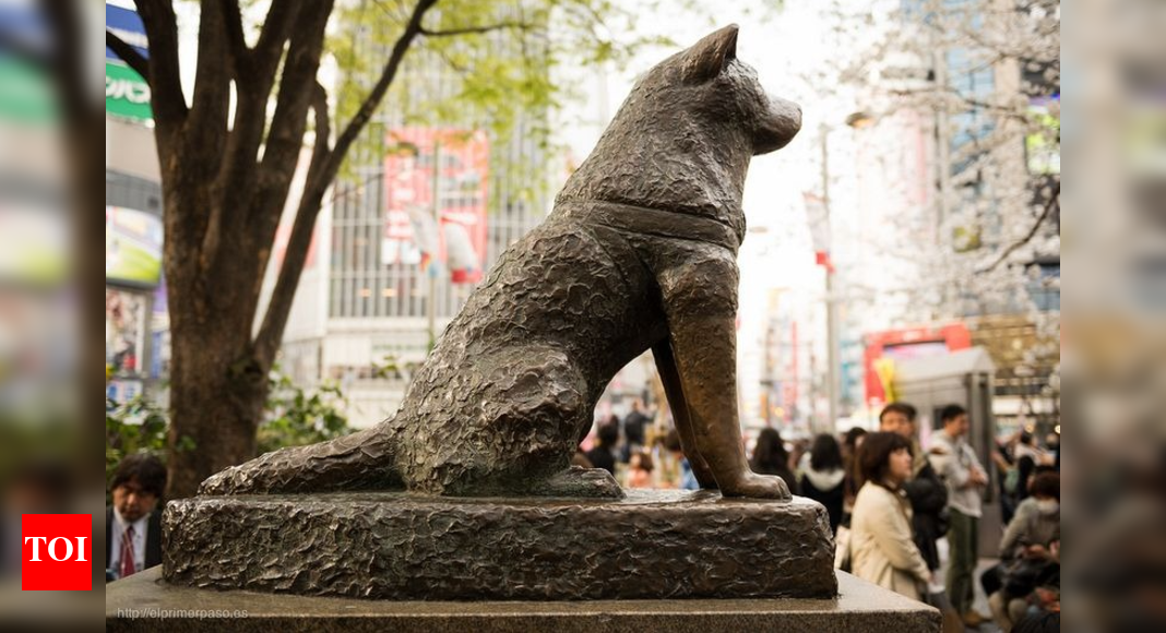 Celebrating 100 years of Hachiko The loyal dog who waited for his dead