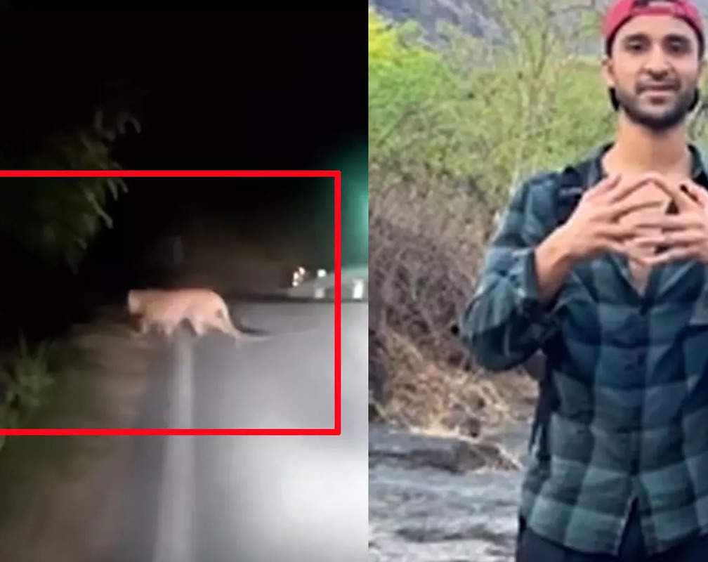 
Raghav Juyal drops video of leopards running on Uttarakhand roads, calls it 'very common sighting'
