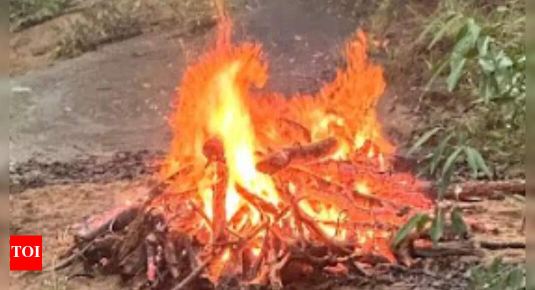 Churna tiger beheading case: Tribal summoned for questioning found hanging | Bhopal News - Vimarsana News
