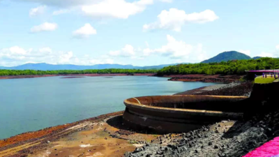 Lack of pre-monsoon showers affects Selaulim dam storage