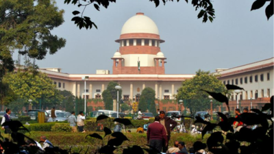 SC tells lawyers: Don't come to us with just any case