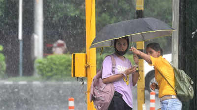 Heavy rains prompt closure of schools and colleges in Dakshina Kannada