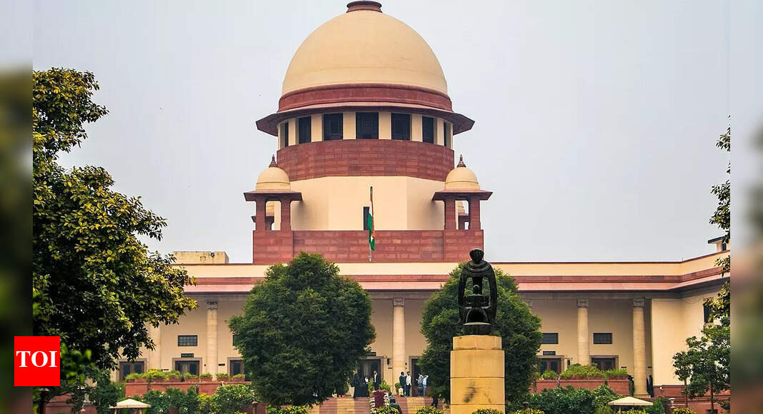 Explainer: Why five widows united against a law in two states | India News - Vimarsana News