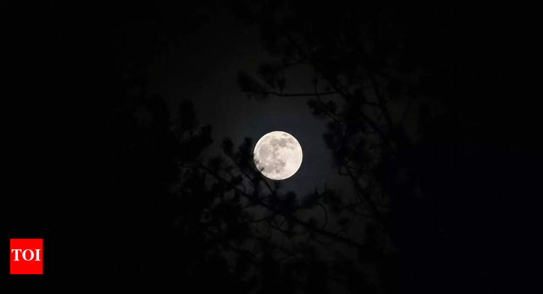 Moon Super Moon 2023 Full Moon Its Rituals And Remedies Times Of India
