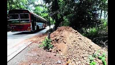 NGT appoints committee to visit Aarey site of debris dumping