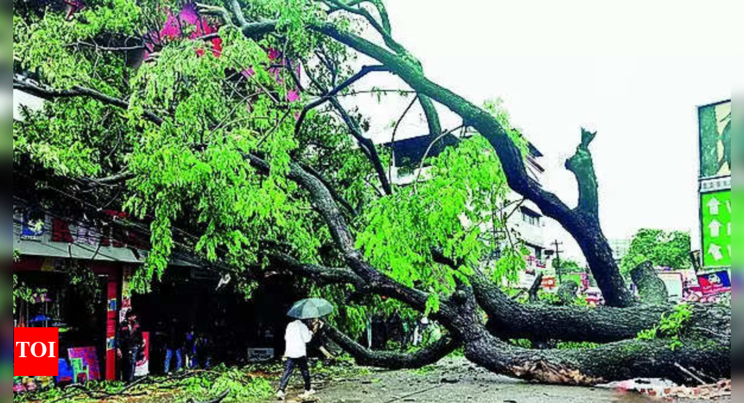 Rain in Kerala News: Kochi gets highest rains of this season | Kochi ...