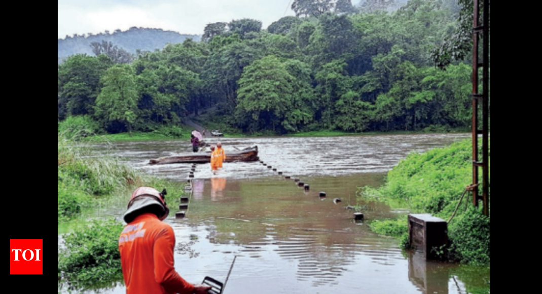 2 Killed, 2 Hurt As Rain Pounds State | Kochi News - Times of India