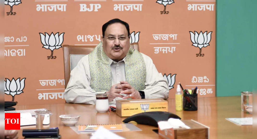 Several ministers, leaders meet BJP chief Nadda as rejig buzz continues | India News