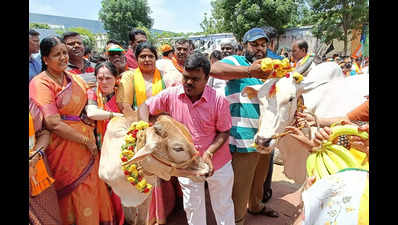 No proposal to repeal anti-cow slaughter law: Karnataka minister K Venkatesh