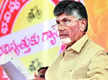 
Naidu starts candidate selection process in AP as 2024 polls near

