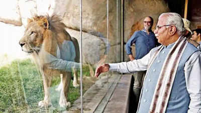 Ph-1 of Aravali zoo safari park to be developed in 2 years: Khattar