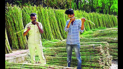 Sugar millers want min sale price hiked to ₹3,750/quintal