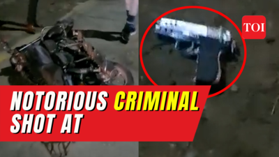 Delhi Encounter News: Notorious criminal Kamil shot in police encounter ...