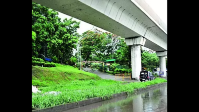 RVNL moves HC over Bypass Metro alignment