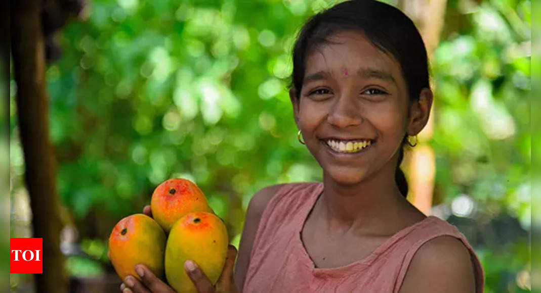 Why mango lovers should look beyond Alphonso | India News - Times of India