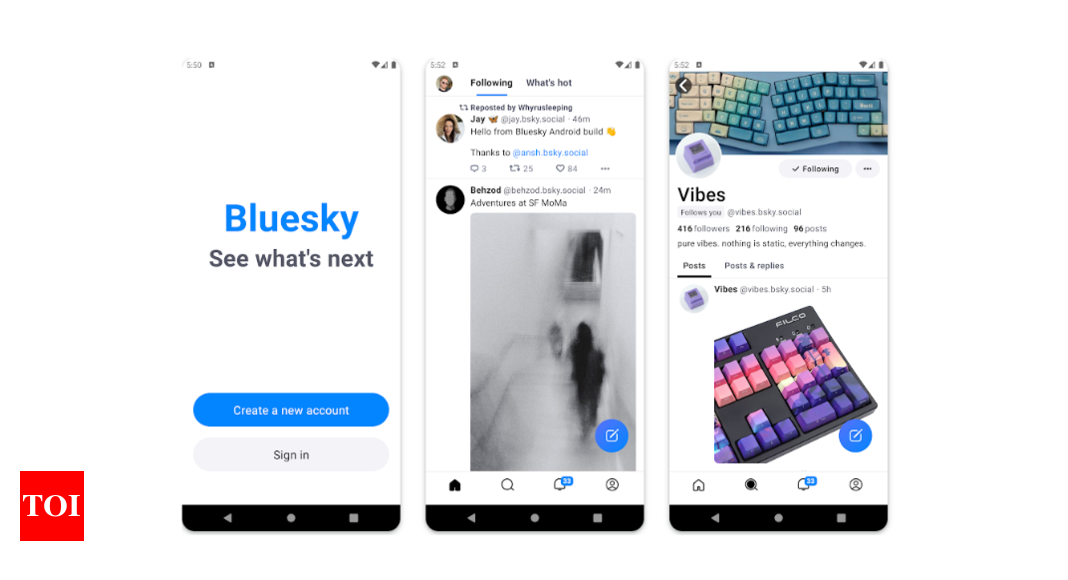 BlueSky: Twitter rival, Bluesky announces $8 million seed funding, introduces paid custom domain feature – Times of India